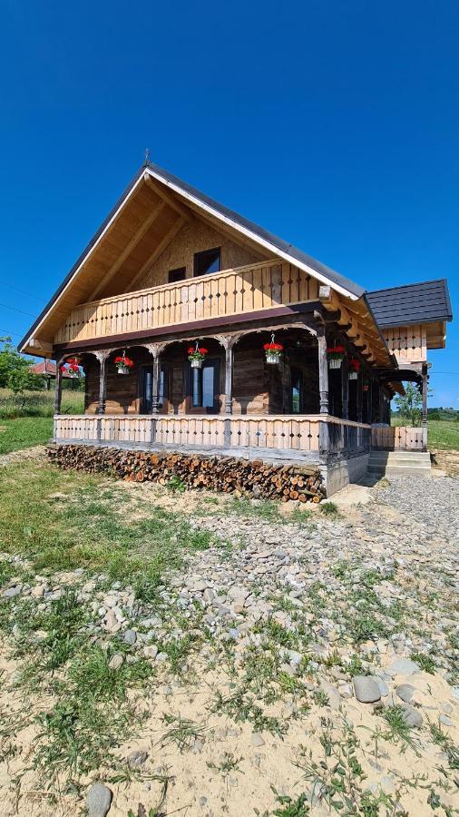 Casa Bunicilor Din Oncesti Villa Exterior foto